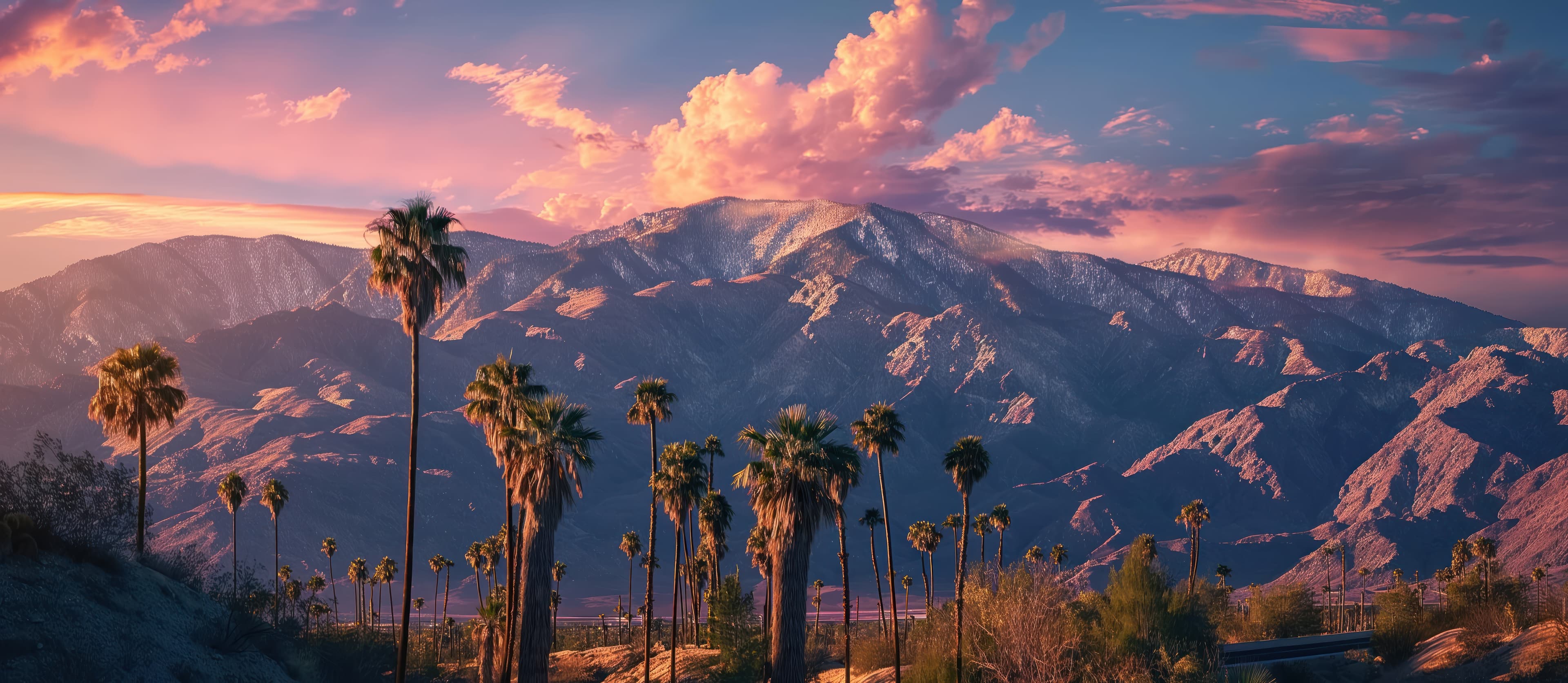 Hero image for Palm Springs Events