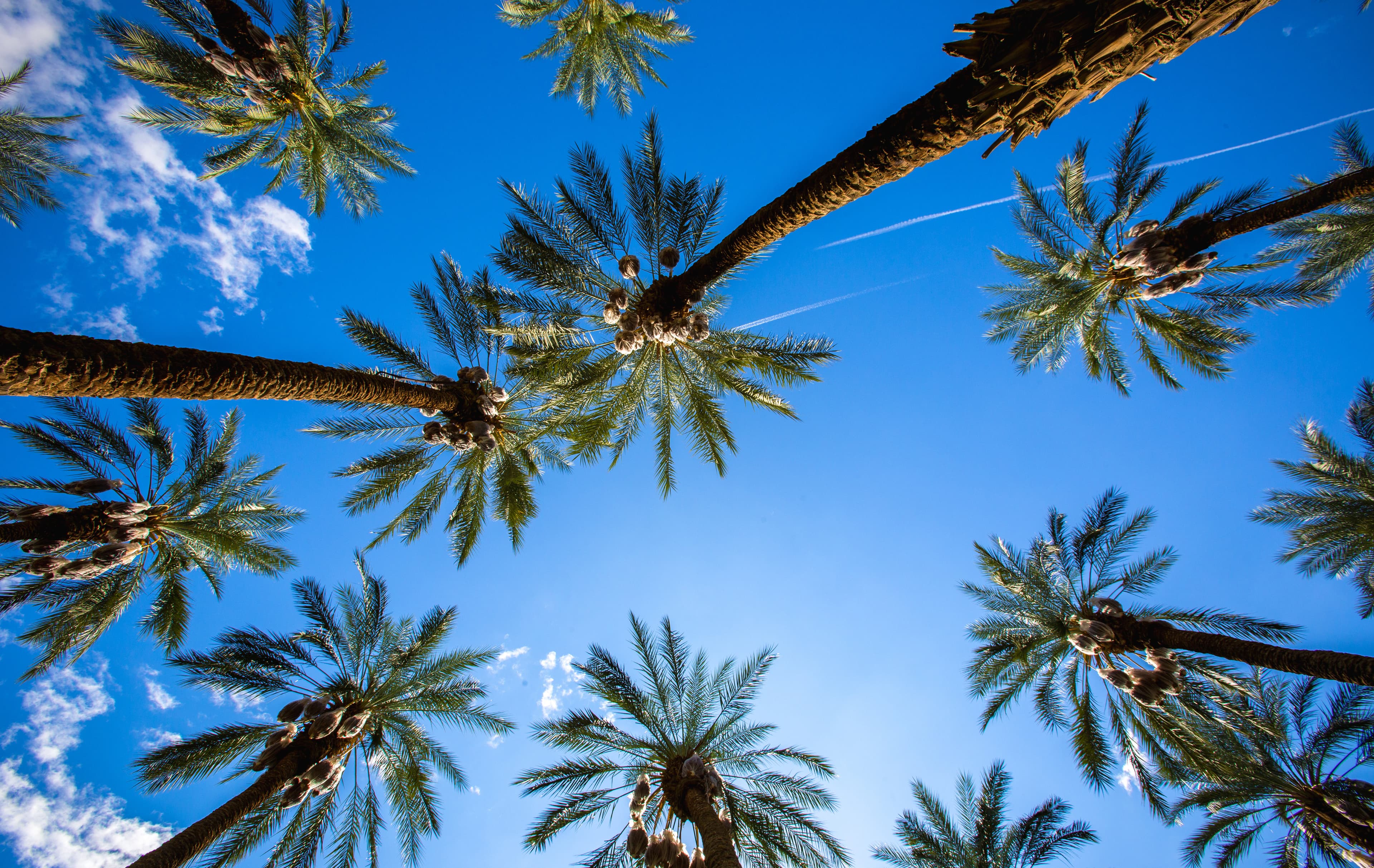 Hero image for Property Statistics in Rancho Mirage