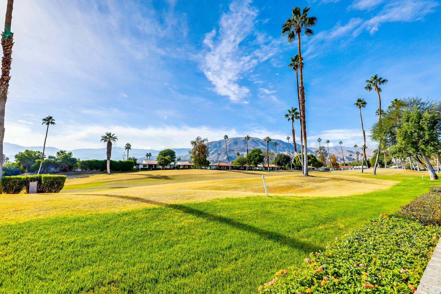 Hero image for Las Palmas Heights
