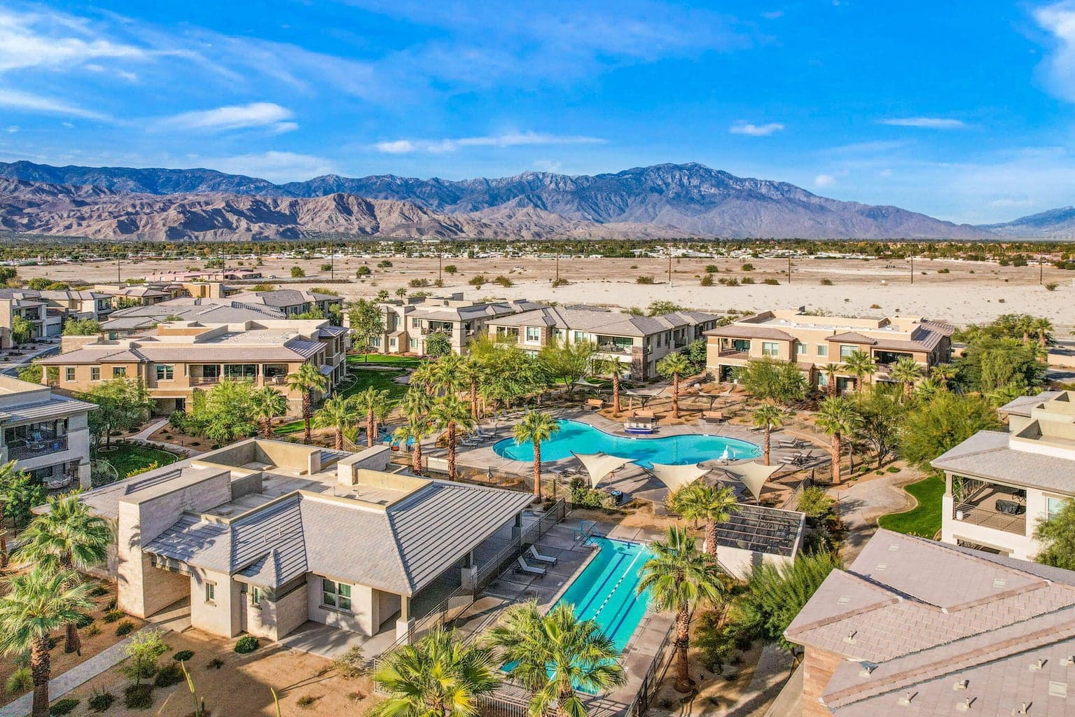 Hero image for Desert Willow