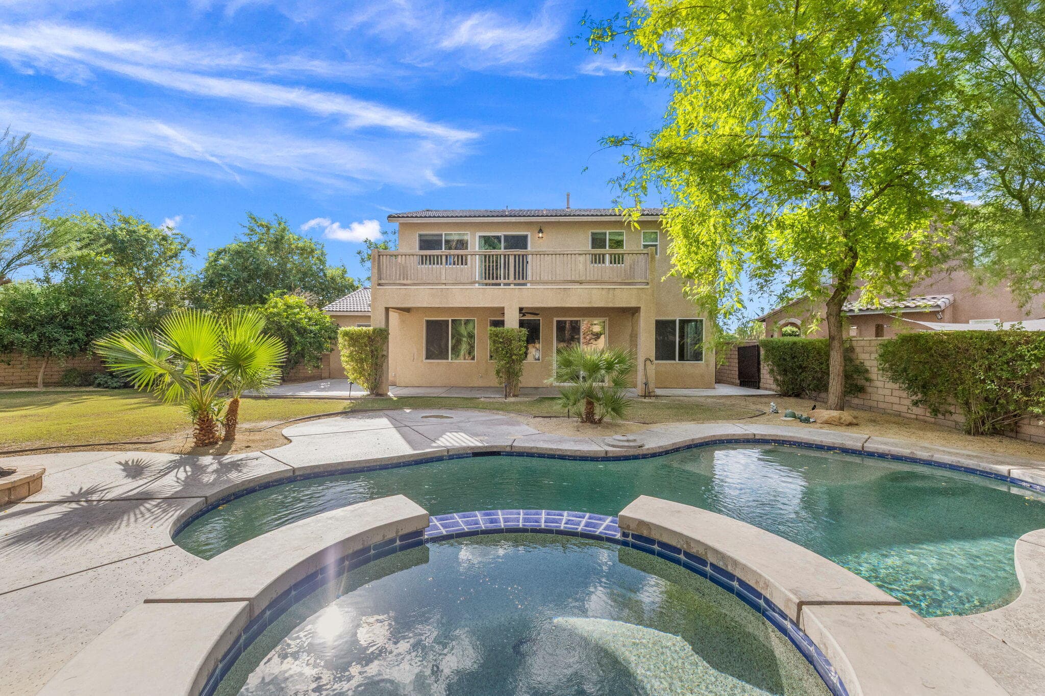 Oversized Back Yard
