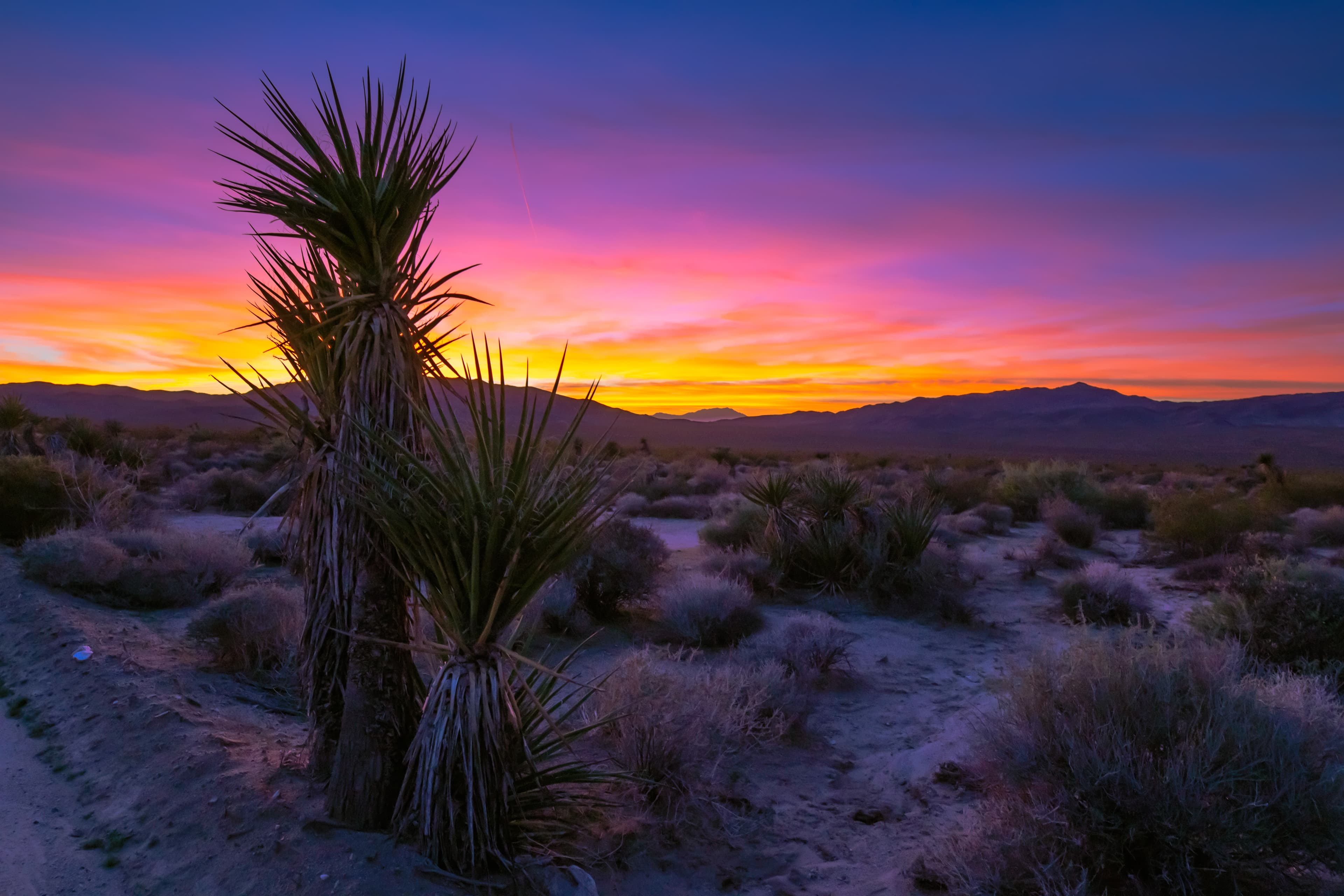 Image of Desert Hot Springs